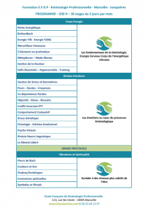 MODULES EFKP 2020